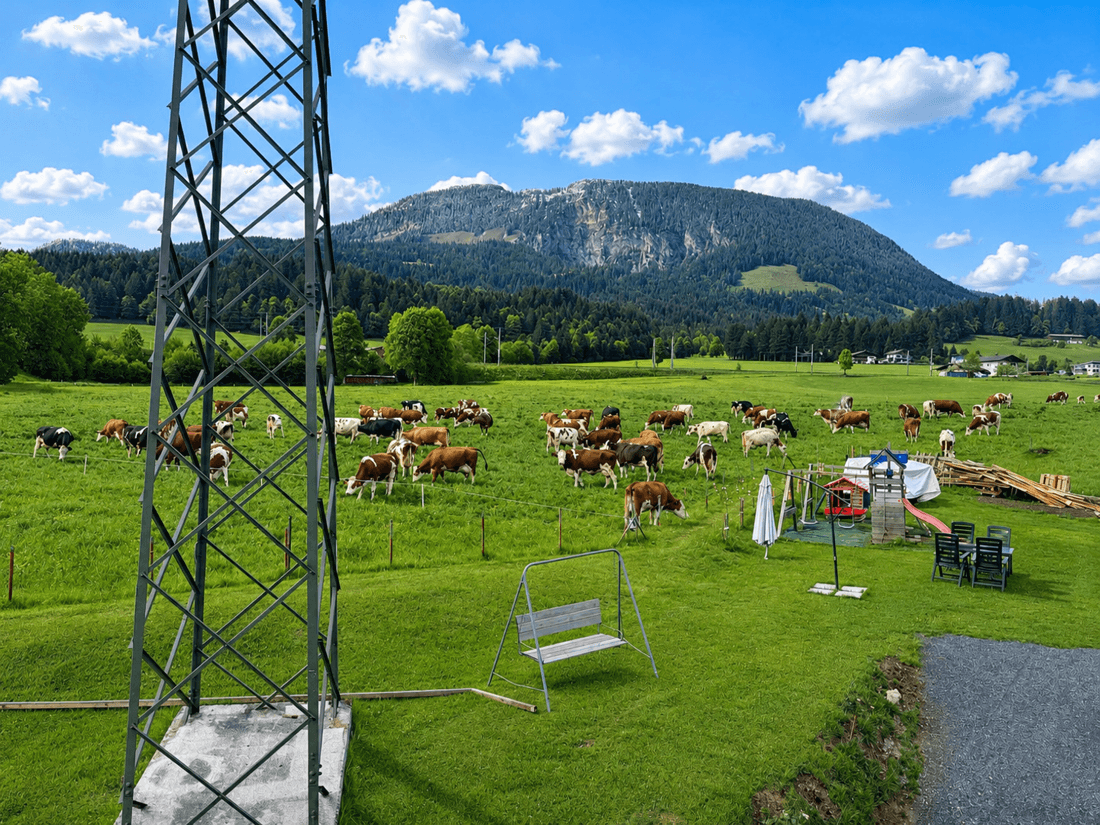Familienzeit im Garten
