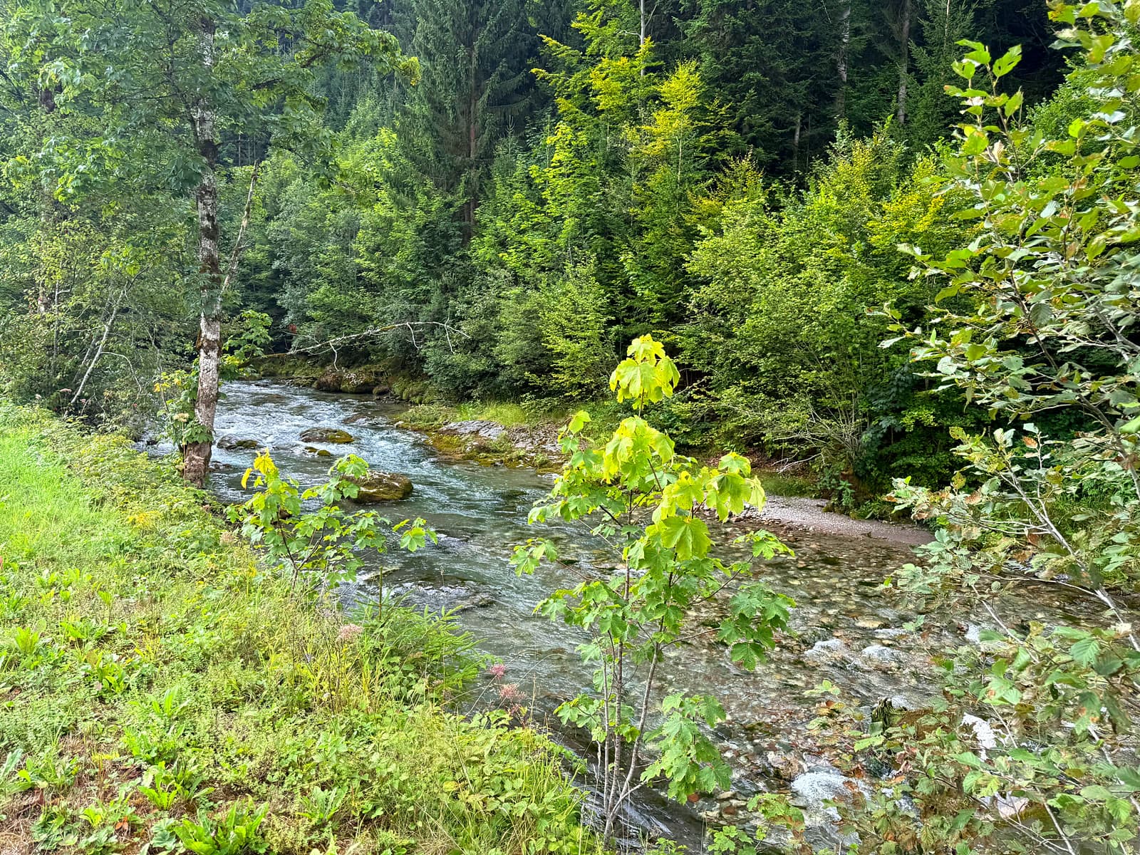 Spaziergang zu unserem Fluss